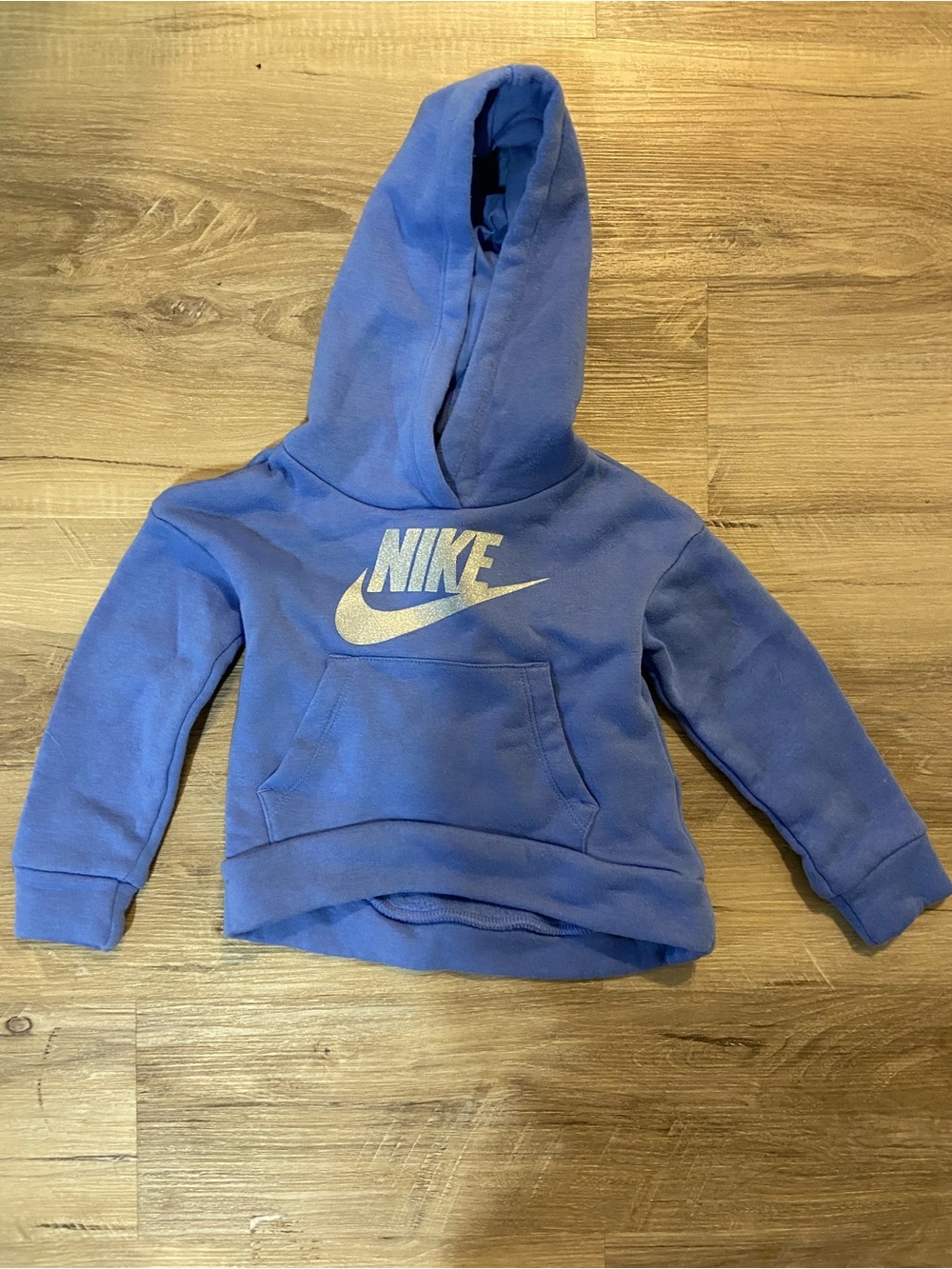 Nike Kids Purple-Blue Hooded Sweatshirt with Silver Logo